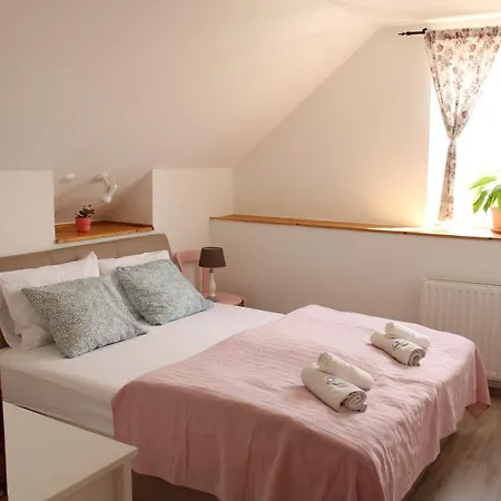 Apartament Videki Haz *