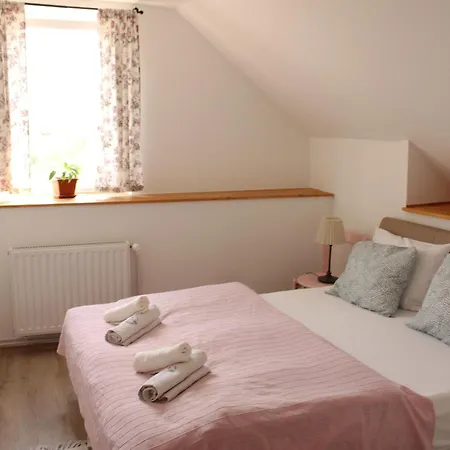 Videki Haz Apartament *