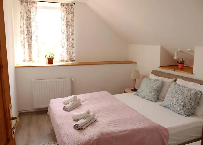 Videki Haz 아파트 *